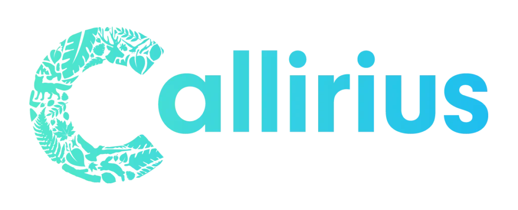 Logo Callirius Real Estate